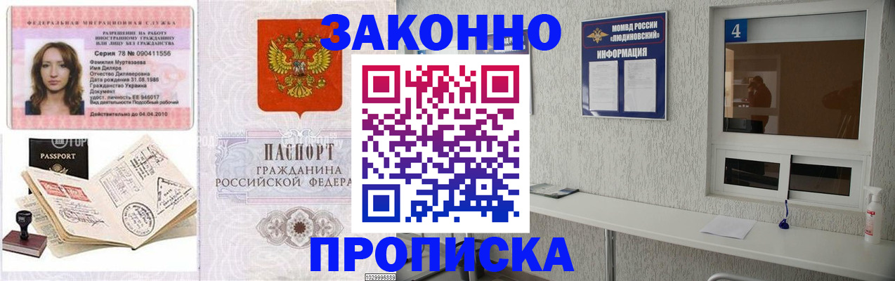 прописка в квартире в Амурской области